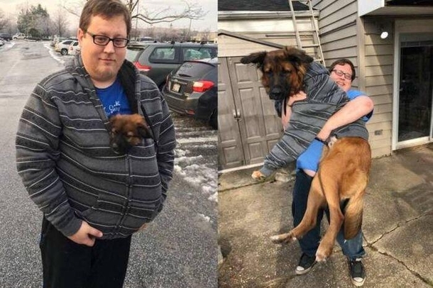 A puppy then a horse now
