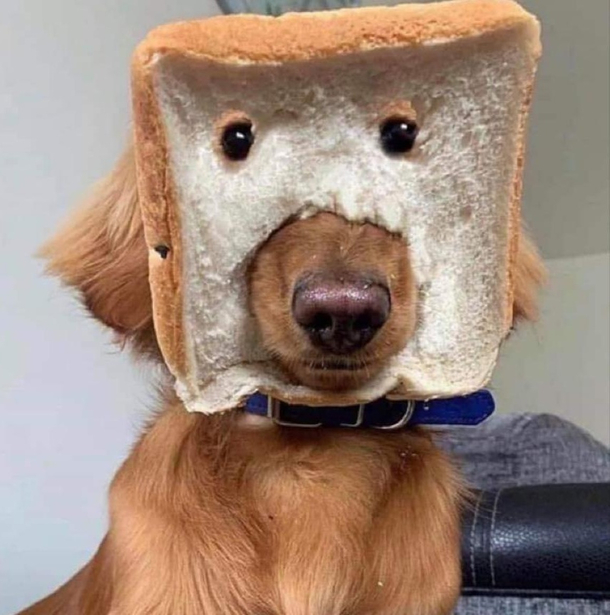 A purebread