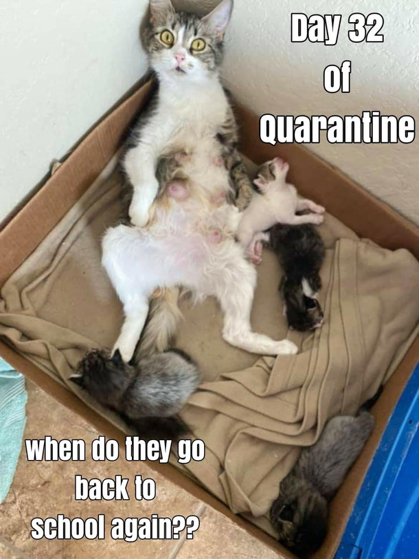 A Question a lot of parents are asking now