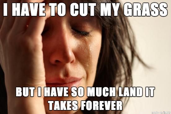 A real first world problem