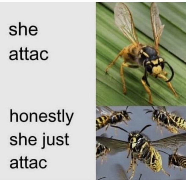 A sad life