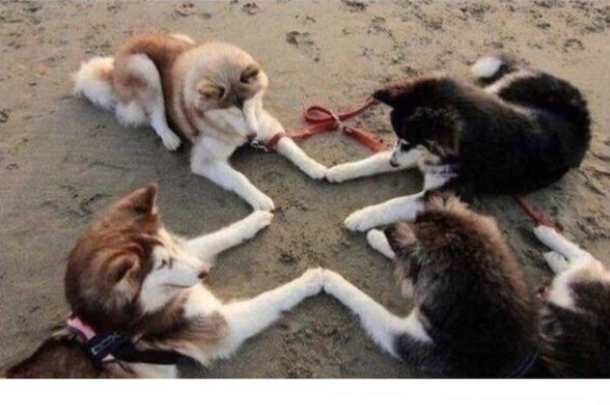 A satanic ritual to summon the goodest of boys ever