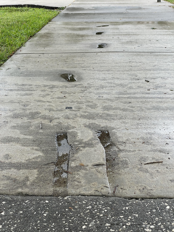 A sidewalk tale