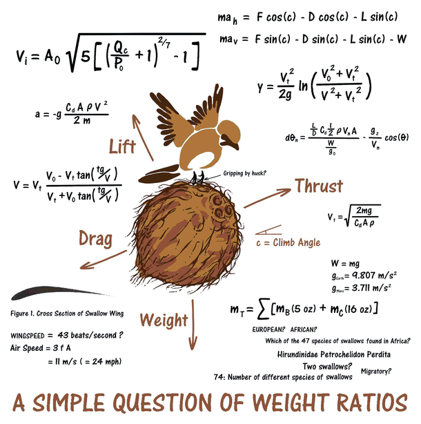 A simple question of weight ratios