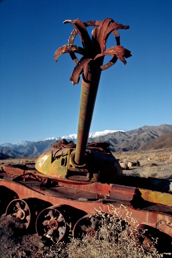 A Soviet T- Tank Orchid blooms in the Afghan desert