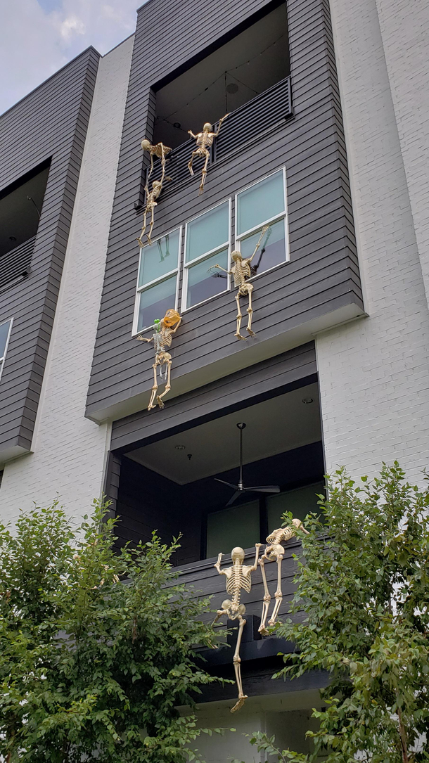 A spooky infestation looking for treats