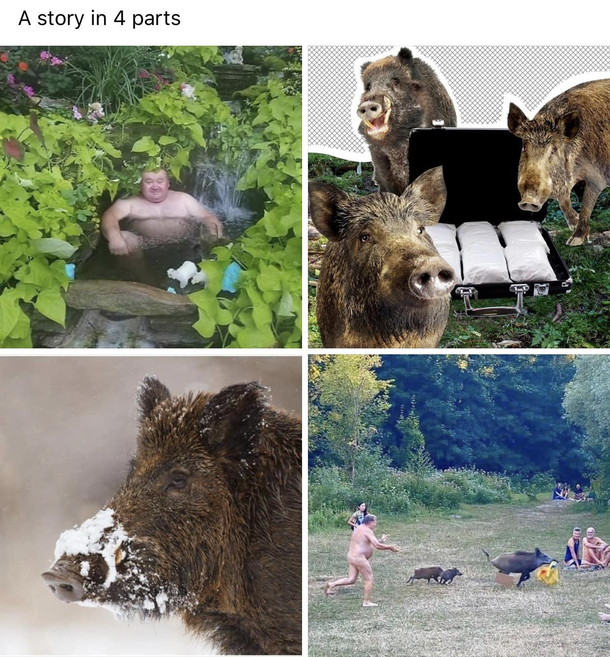 A story in  parts OC