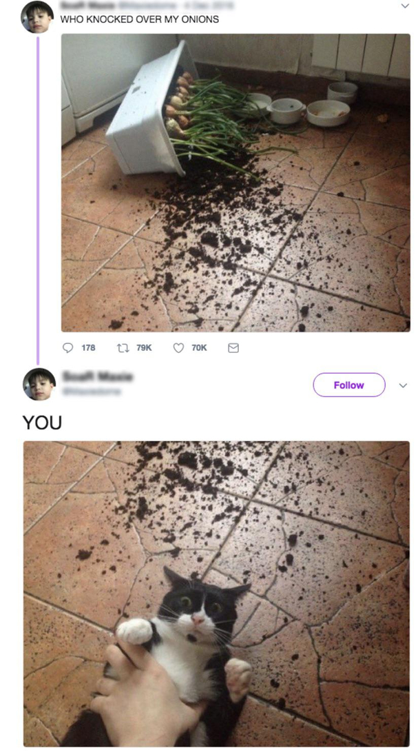 A story in two chapters