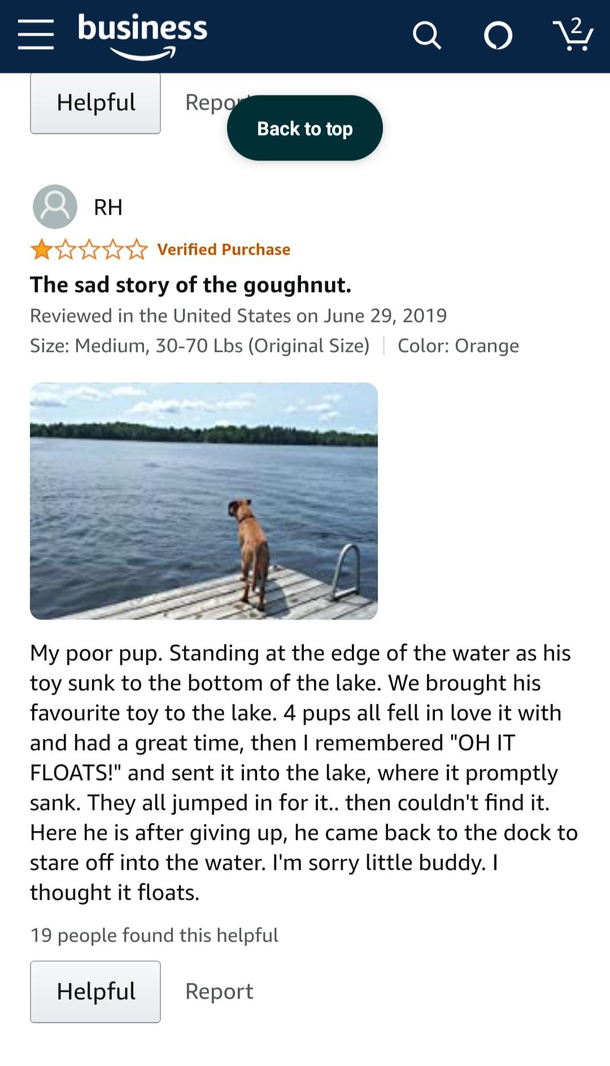 A story of betrayal
