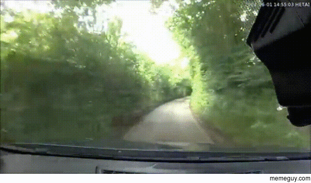 A surprise around every turn