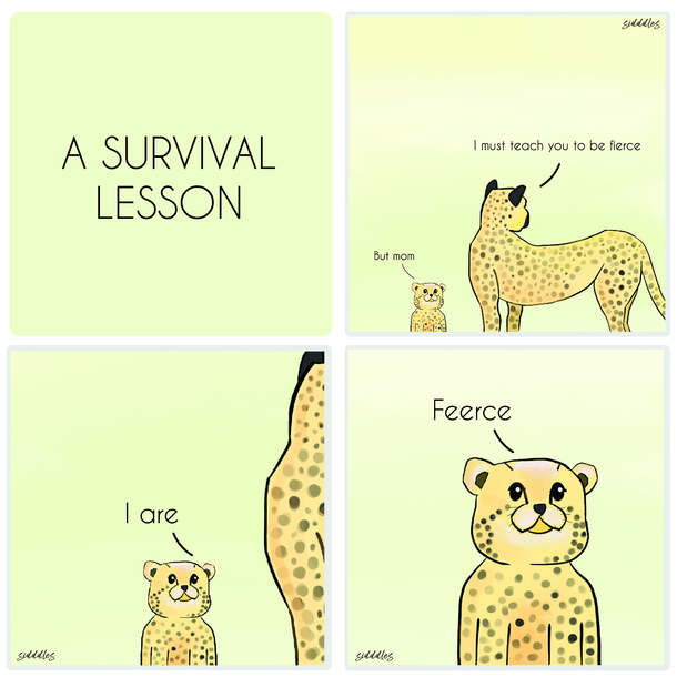 A survival lesson