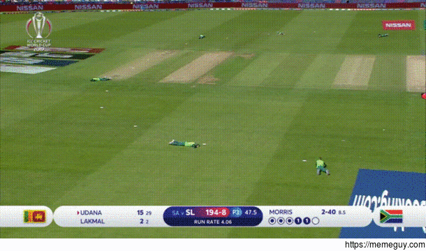 A Swarm of bees briefly interrupts play during the Cricket World Cup match between South Africa and Sri Lanka All the players and umpires had to drop to the floor