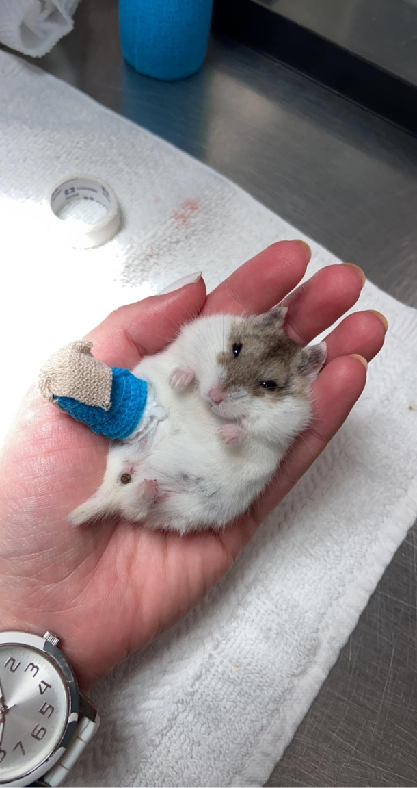 A trip to the ER