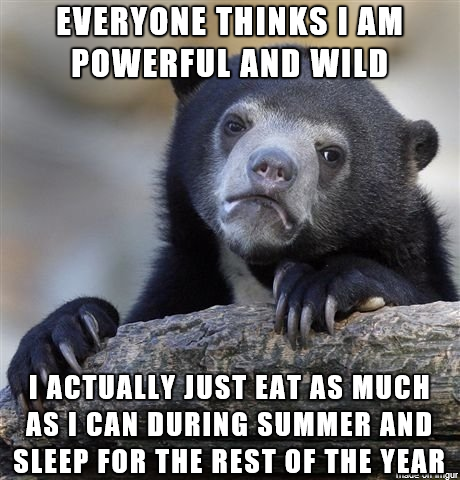 A true confession bear confession