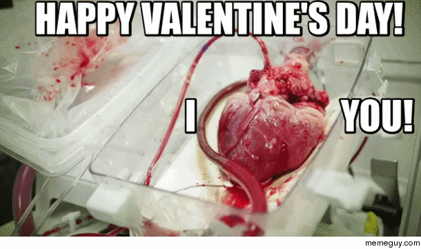 A valentine with some heart