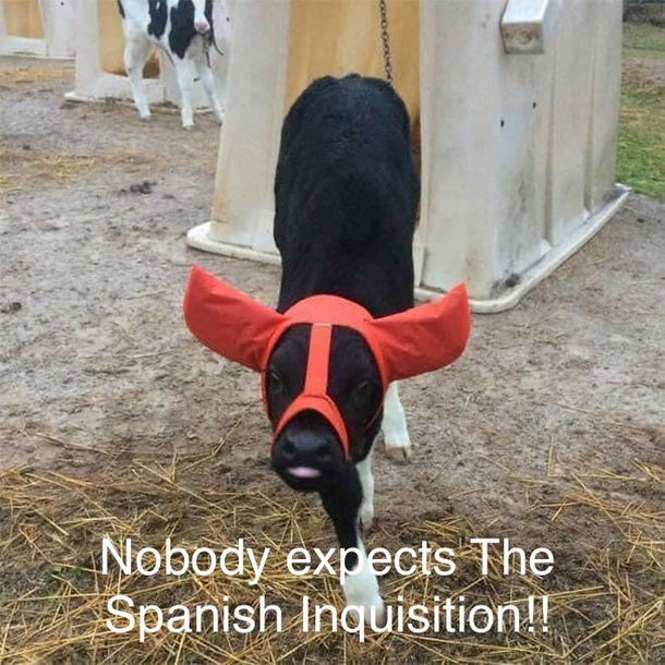 A very dark time in the history of the Cowthilic Church