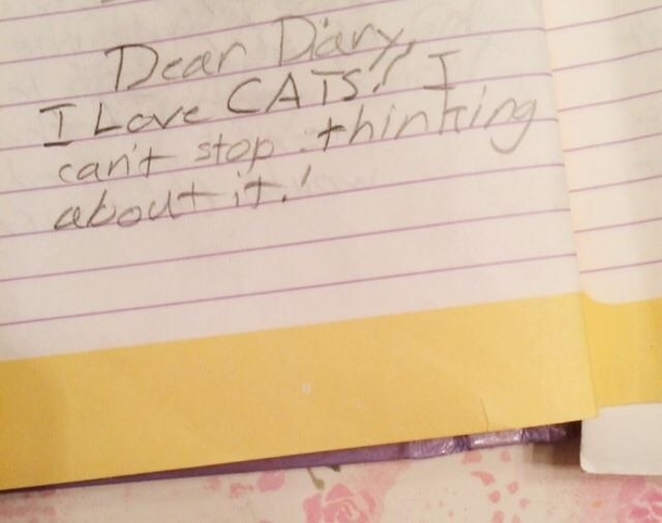 A very passionate single diary entry from my  year old self How am I not a cat hoarder by now  yrs later