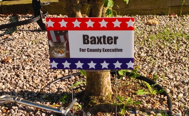 A vote for Baxter is a vote fur change