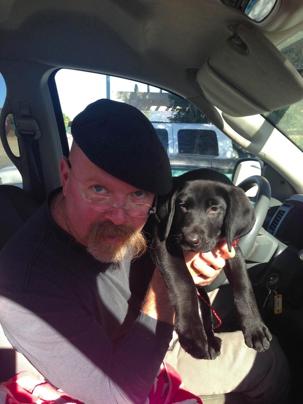 A walrus adopted a puppy and now theyre best friends