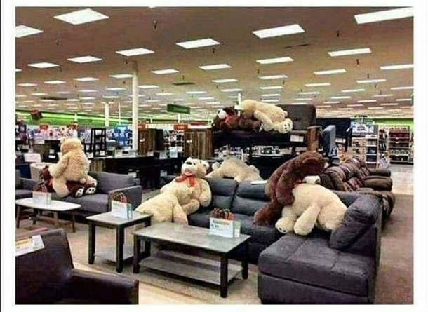 A wife said about her husbandI lost track of my husband while shopping but Im pretty sure hes in the area