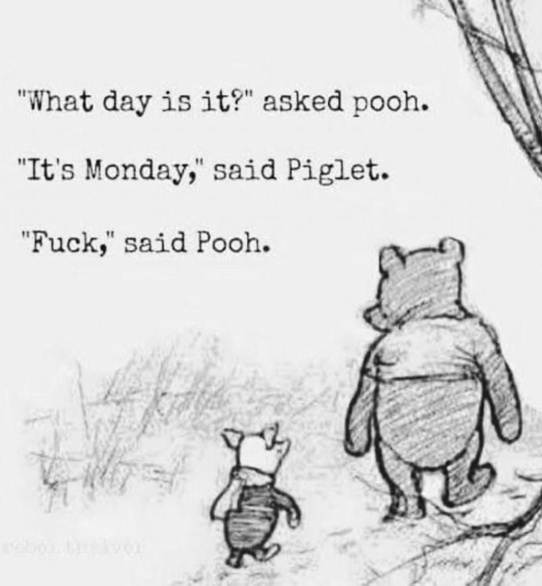 A wise old bear