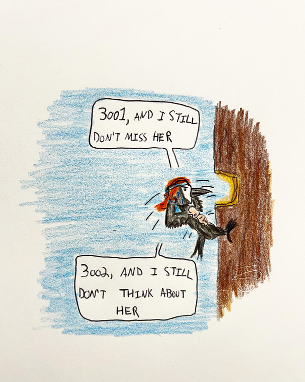 A woodpecker 