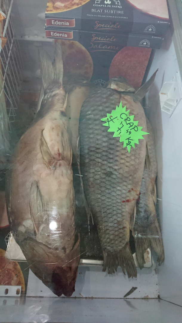 aaw carp
