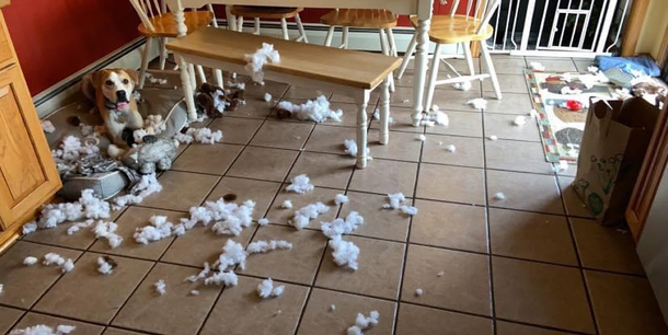 Abandon all fluff ye who enter