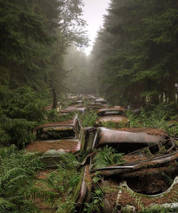 Abandoned traffic jam in Belgium