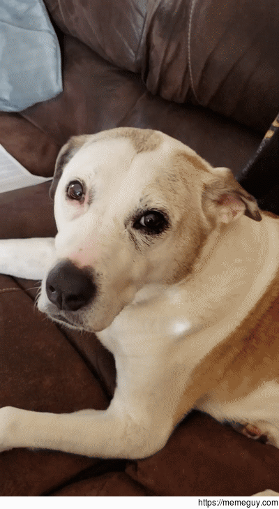 Abby gives a wink and a smile
