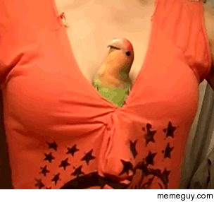 ABORT ABORT