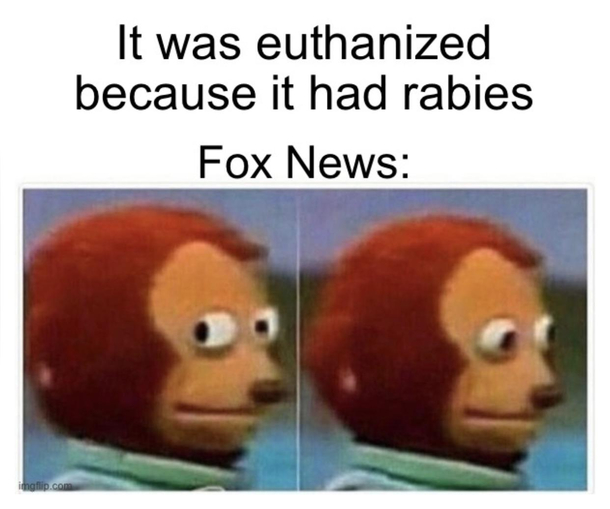 About that fox that was caught at the US capital