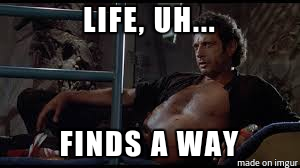 About that pregnant -year-old virgin in Texas