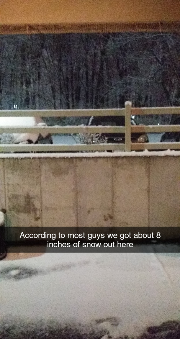 Above average snowfall