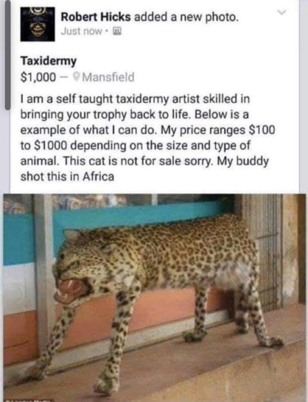 Absolutely Beautiful Furniture
