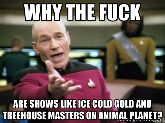 Absolutely no animals are involved