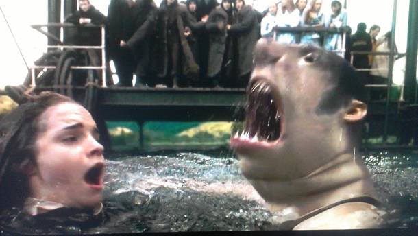 Accidentally paused on this beautiful second in Harry Potter 
