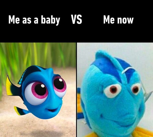 Accurate AF 