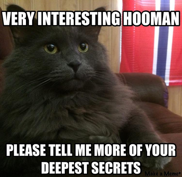 Active listening cat knows everything