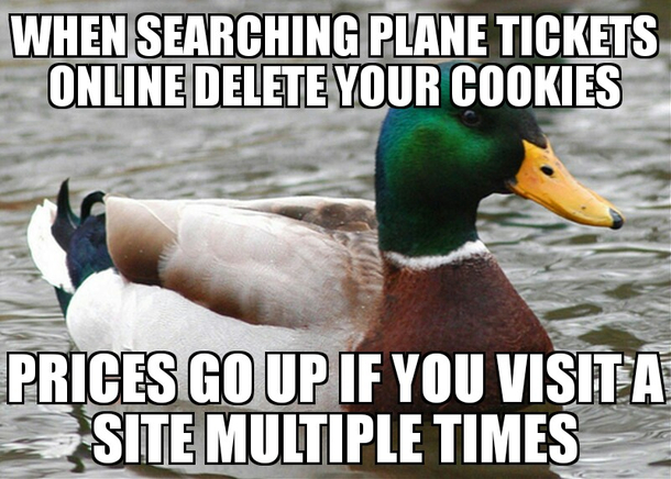 AcTuaL aDvICe