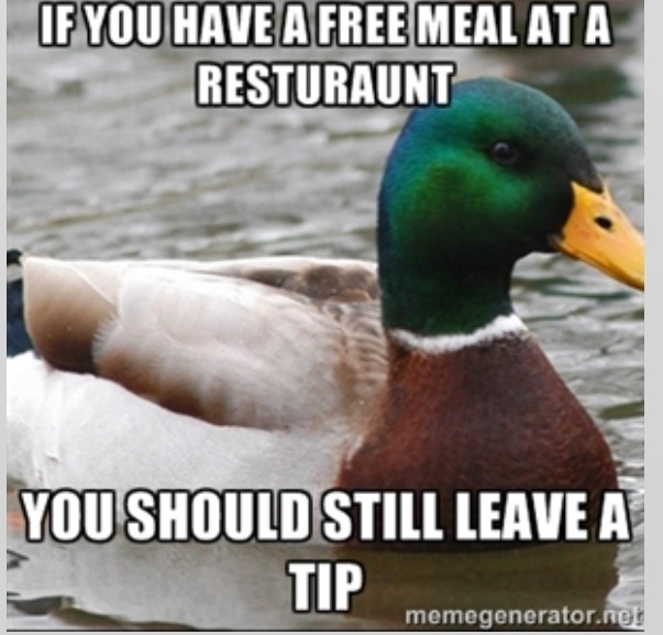 Actual Advice Mallard