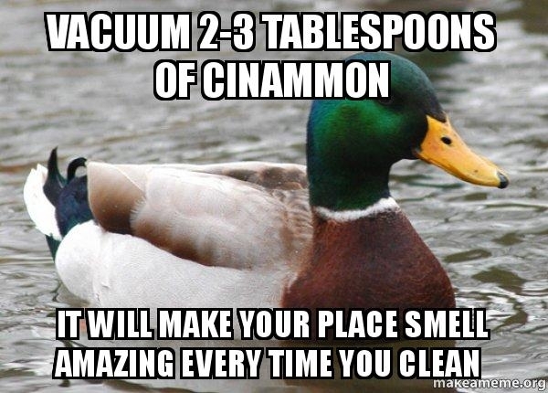 Actual Advice Mallard cinnamon smells a lot better than burnt dust
