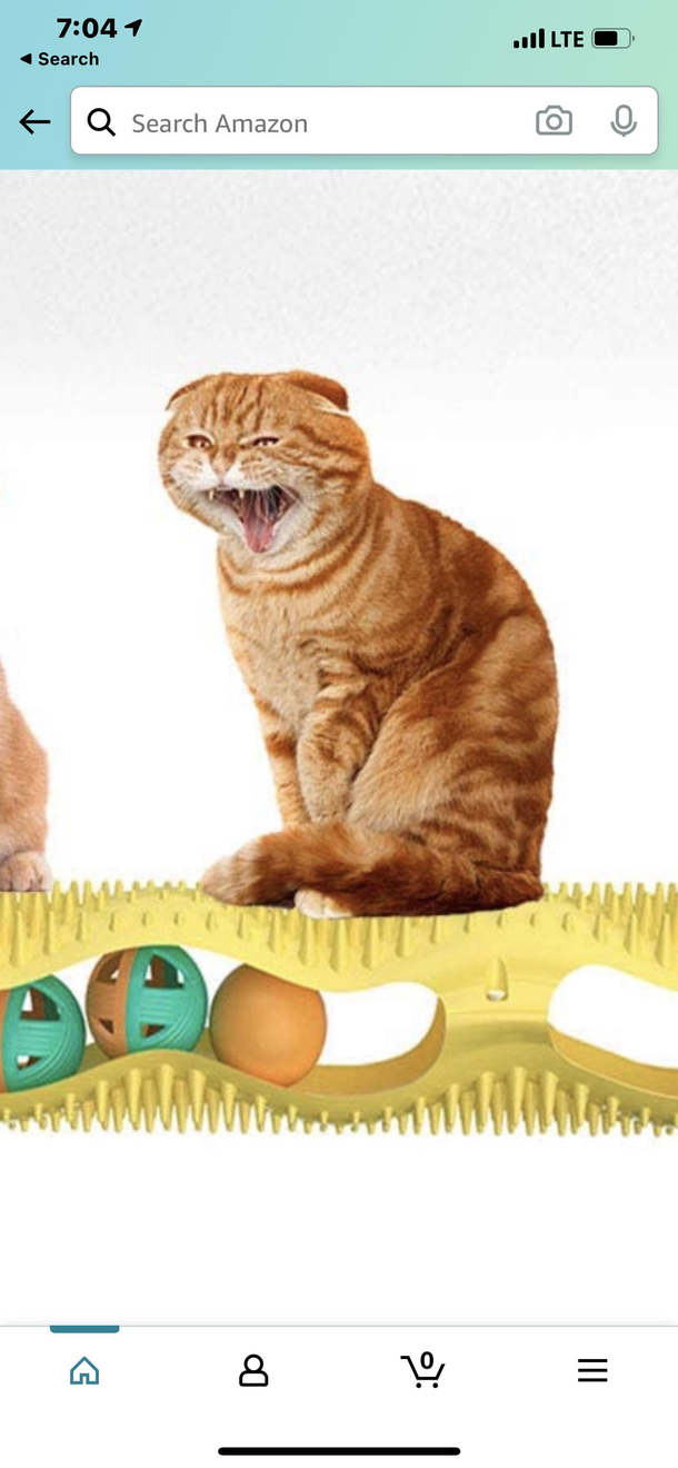 Actual Amazon Cat Toy advertisement Cat is yawning