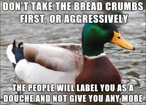 Actual Mallard Advice