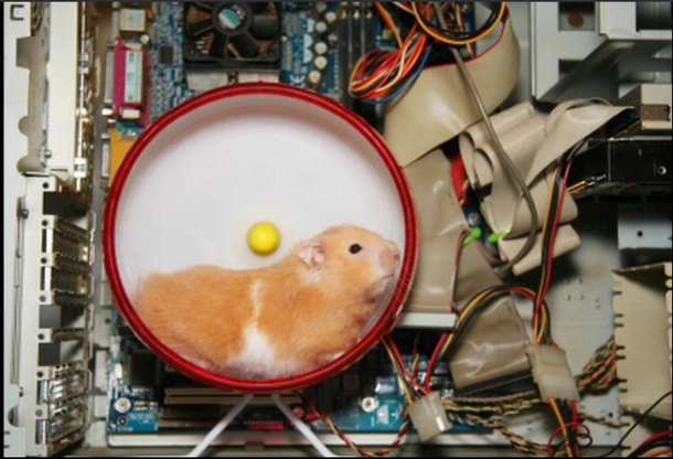 Actual picture of Reddits Server Farm