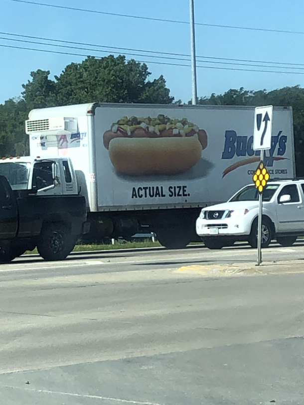 actual size