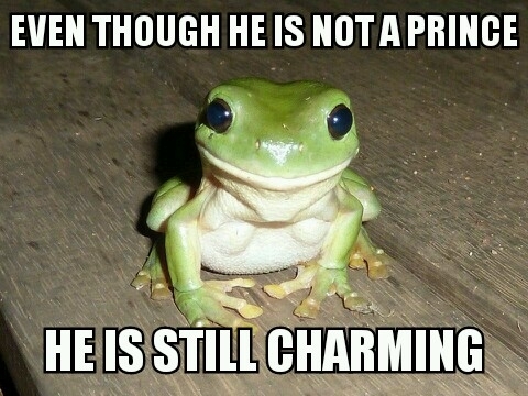 To Find A Prince You Re Supposed To Kiss A Frog Not Fuck The