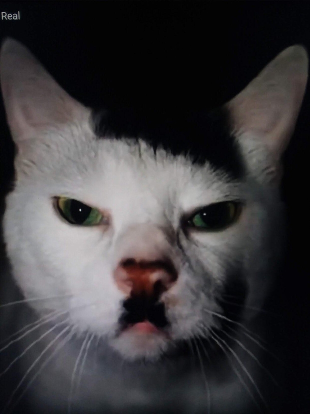 Adolf kittler