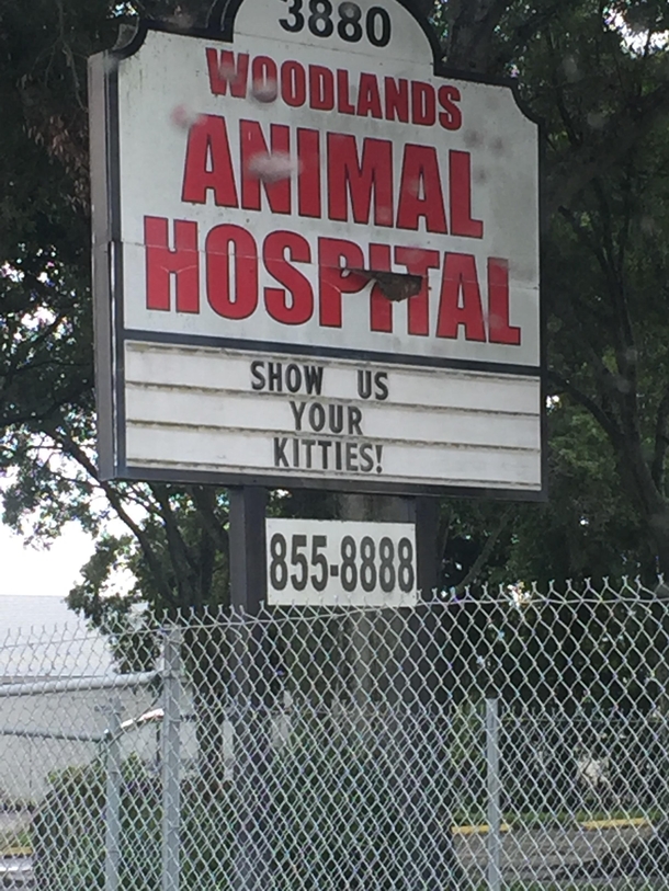 Advertising for an animal hospital done right