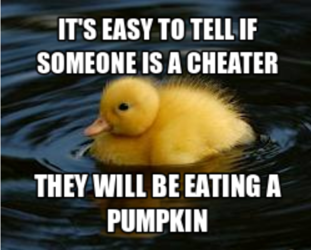 Advice Duckling